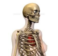 yjimage20